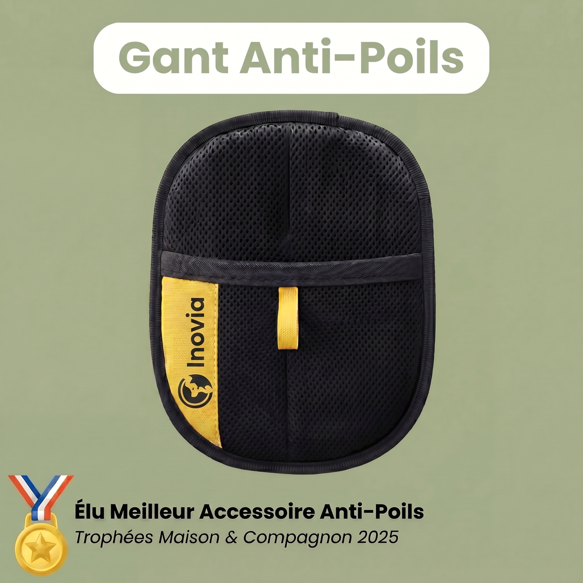Fini les Poils Partout : Le Gant Réutilisable Qui Nettoie en 30 Secondes