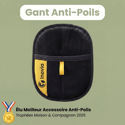 Fini les Poils Partout : Le Gant Réutilisable Qui Nettoie en 30 Secondes